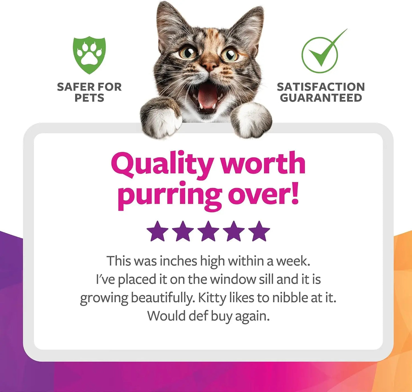 Organic Oat Grass Cat Grow Kit For Digestion And Hairball