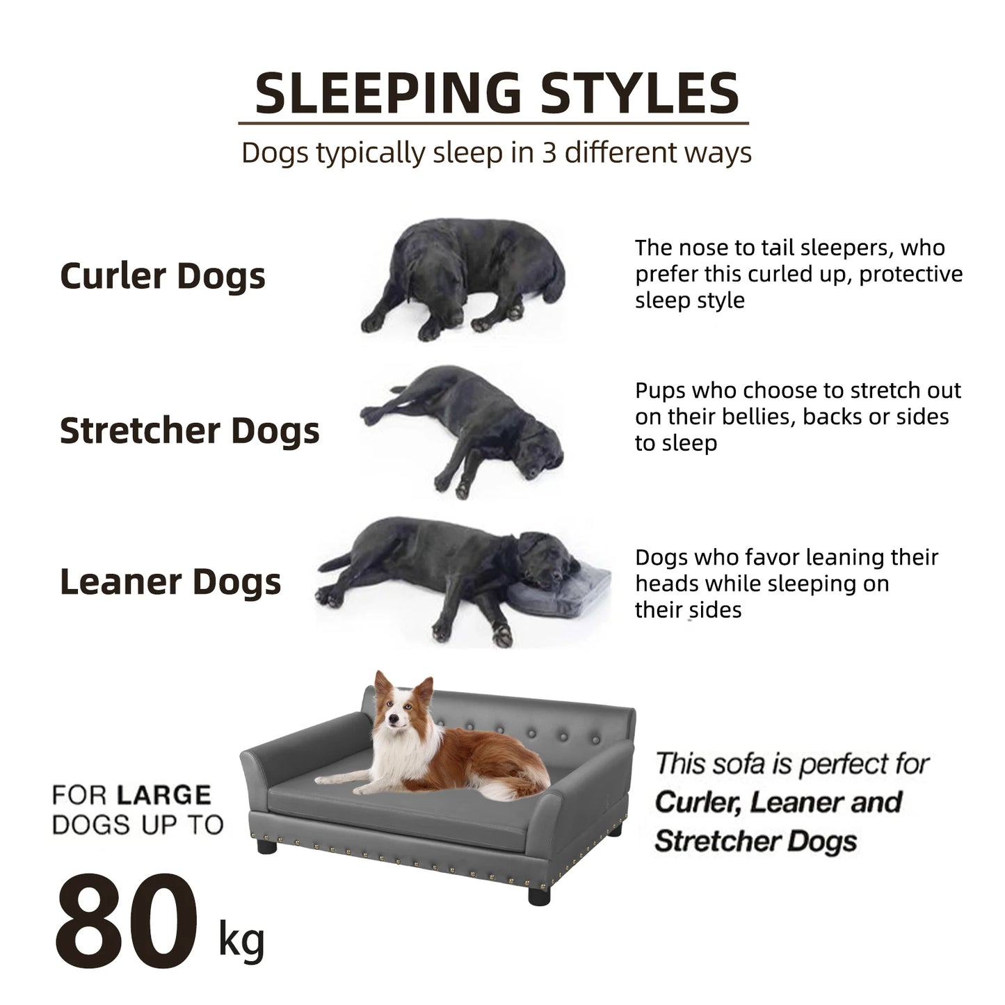BINGOPAW Elevated Dog Bed With Removable Cushion
