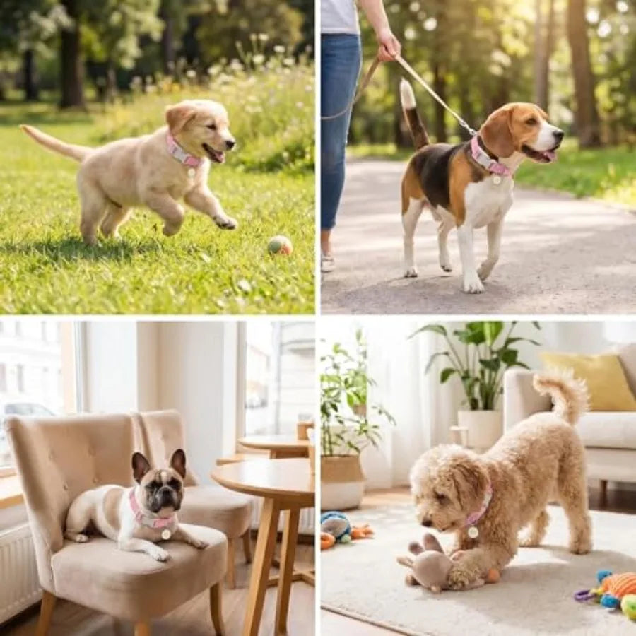 Daisy Quick-Release Dog Collar Soft Cotton Summer Collar