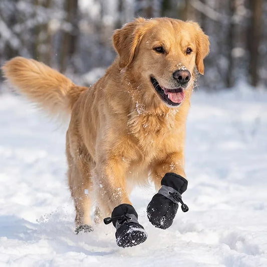 Waterproof Dog Boots Set Warm Paw Protectors Easy On Fit