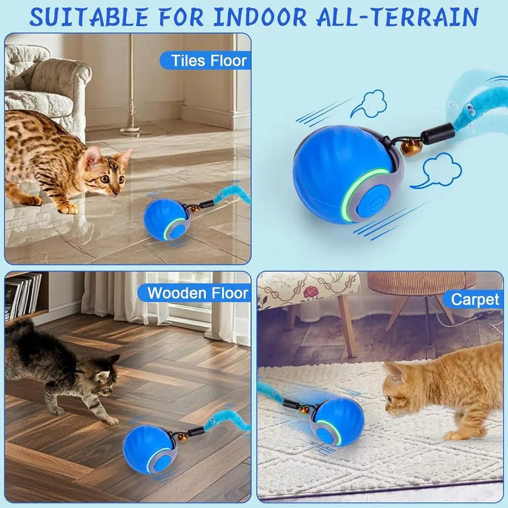 Interactive Cat Toy Ball With Automatic Rolling And Rechargeable Enrichment