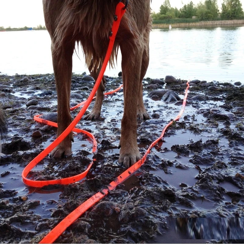 Livepetsme Waterproof Dog Leash For Small To Large Dogs