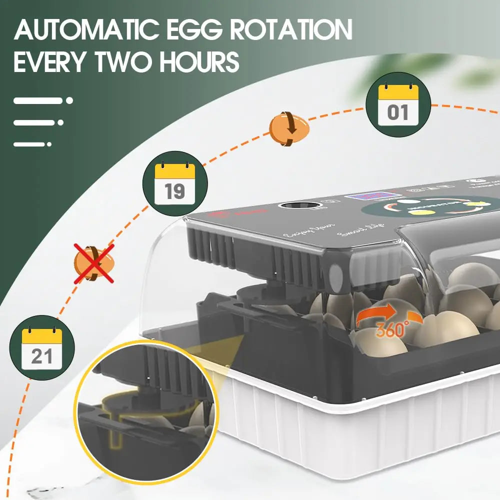 12 Egg Incubator With Turner And Temperature Control And Candler