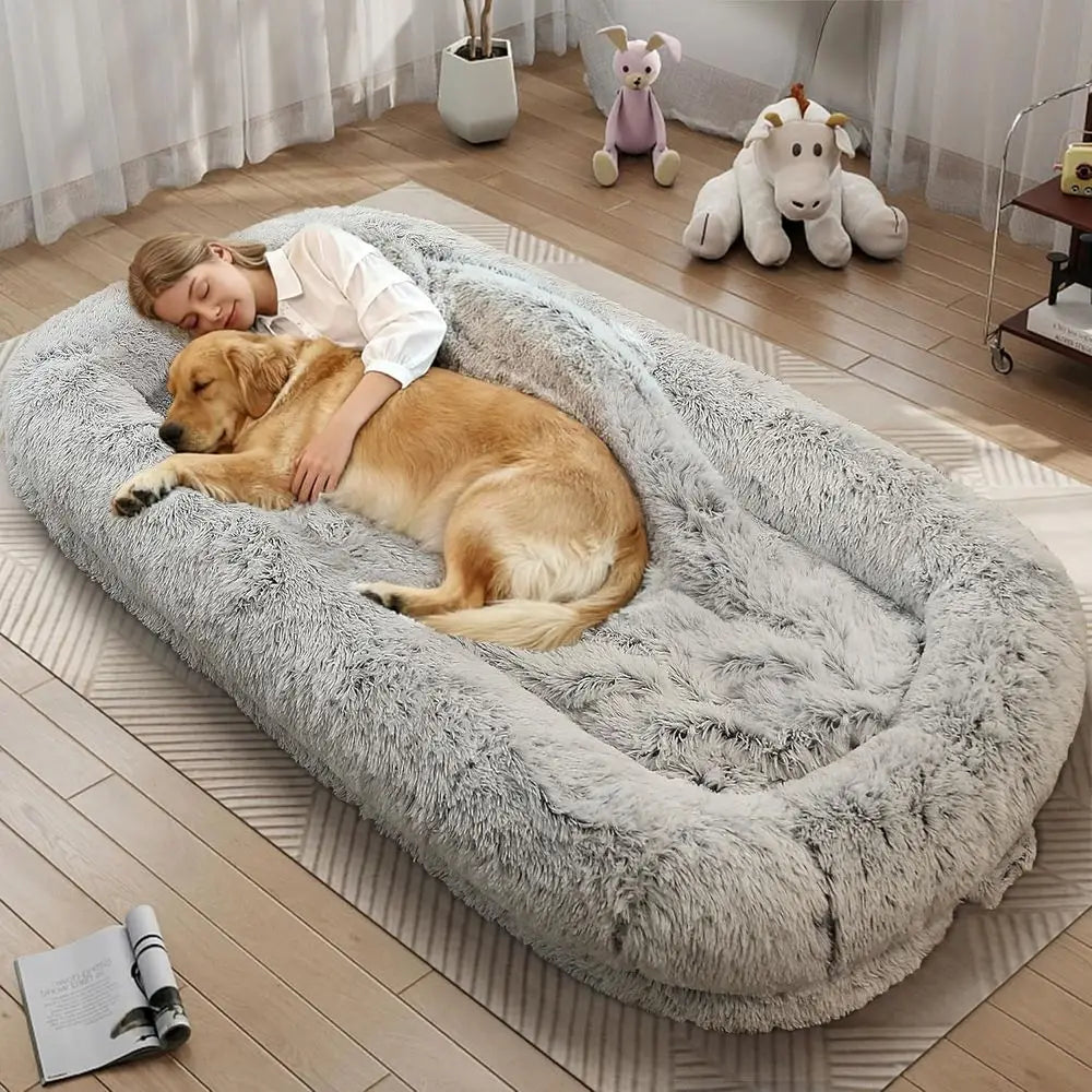 Orthopedic Dog Bed With Removable Cover