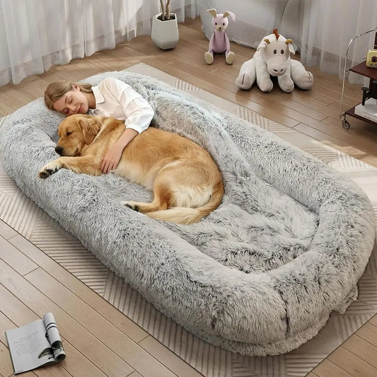 Orthopedic Dog Bed With Removable Cover