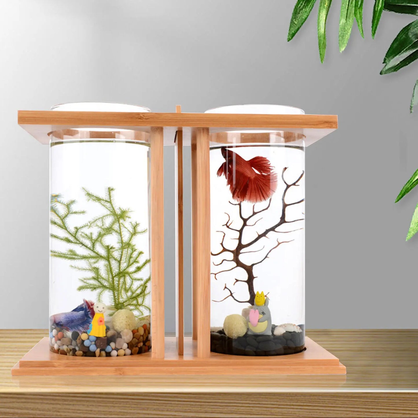 Bamboo Base Glass Betta Tank With LED Light Desktop Decor