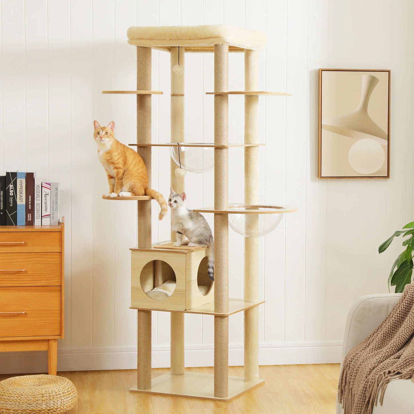 PAWZ Ro Multi Level Indoor Cat Tree With Scratching Posts