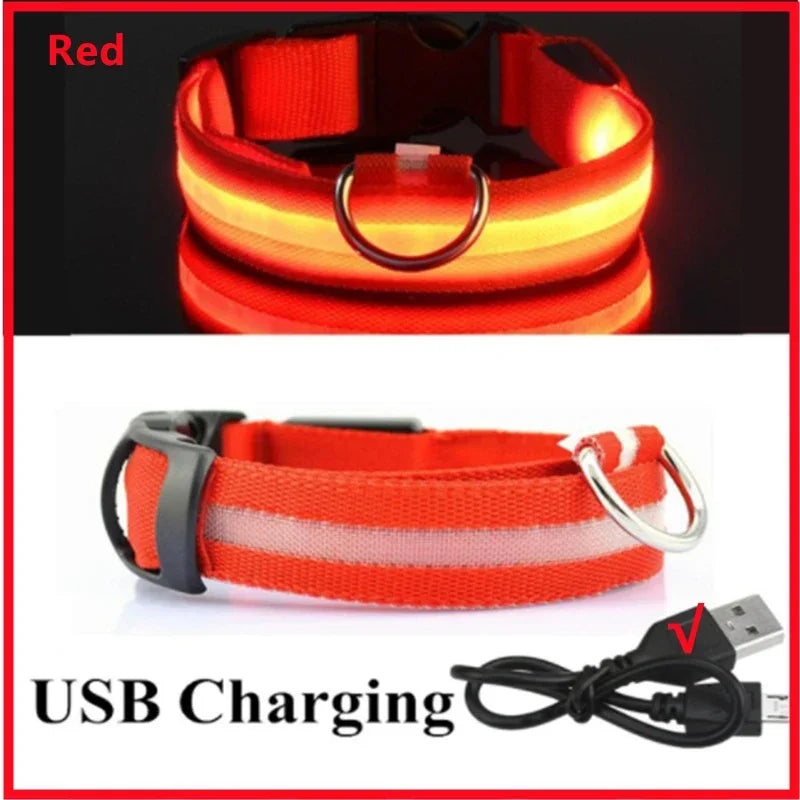 COOYOMOO 3 Mode USB LED Dog Collar With Night Glow