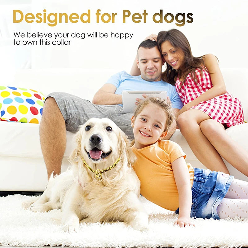 Livepetsme Stainless Steel Chain Collar for Dogs Training and Walking