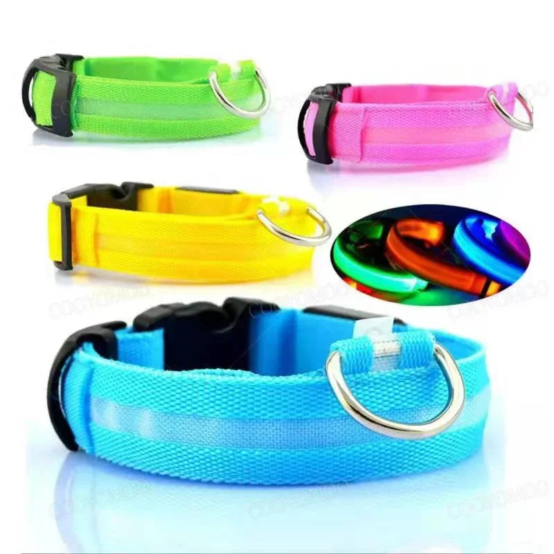 COOYOMOO 3 Mode USB LED Dog Collar With Night Glow