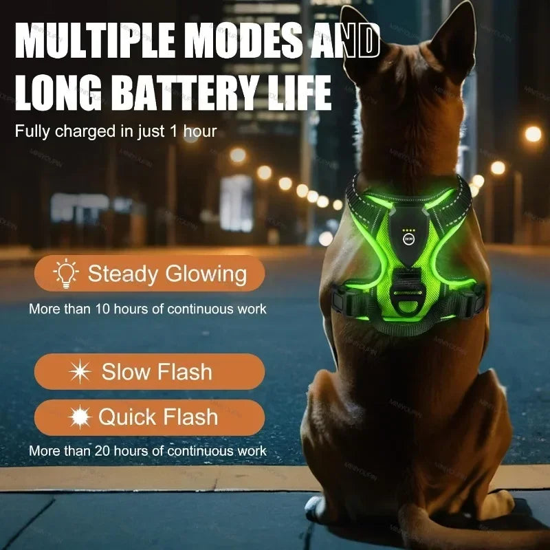 LED Luminous Dog Harness No Pull Adjustable Vest for Outdoor Walking