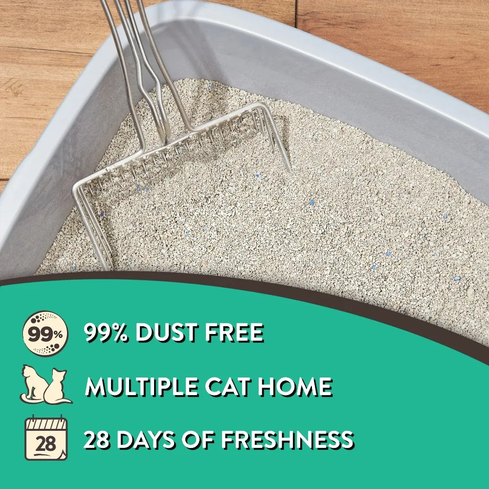 Special Kitty Clumping Cat Litter Fresh Scent Four Pack