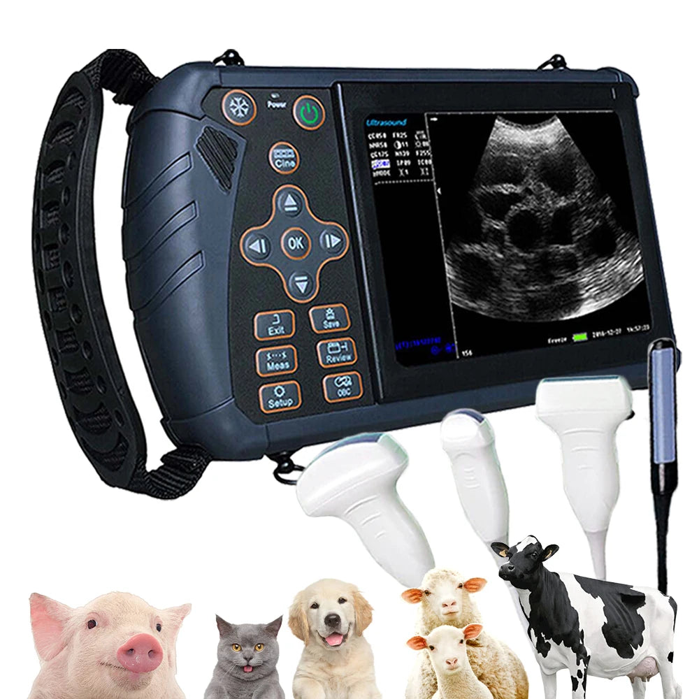 DAWEI Portable Veterinary Ultrasound Scanner for Farm Animals and Pregnancy