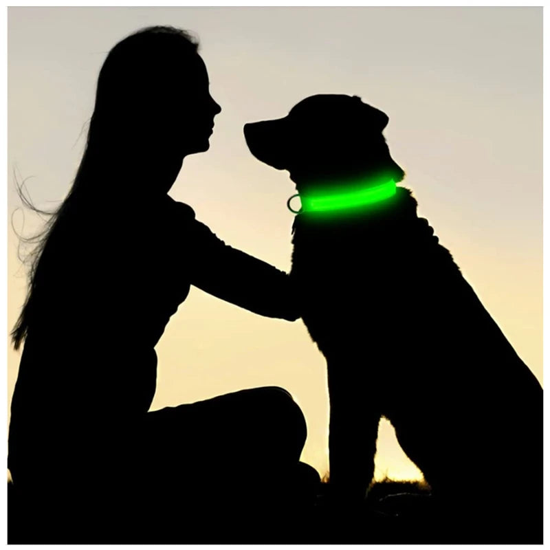 COOYOMOO 3 Mode USB LED Dog Collar With Night Glow