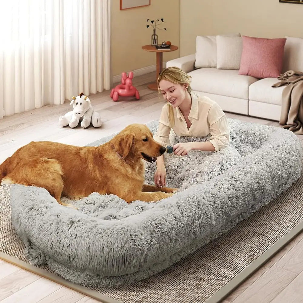 Orthopedic Dog Bed With Removable Cover