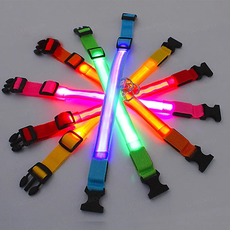 COOYOMOO 3 Mode USB LED Dog Collar With Night Glow