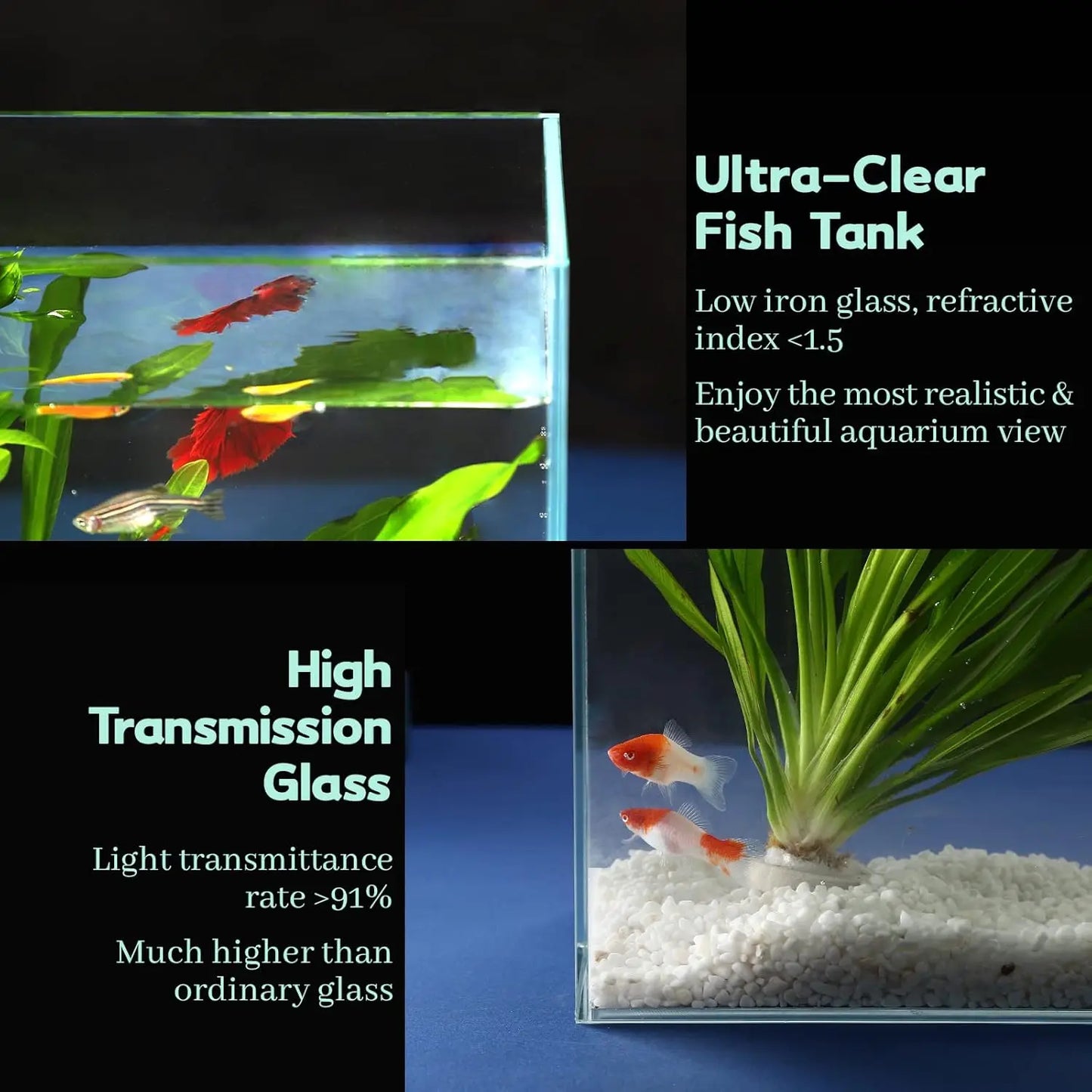 Ultra Clear Rimless Glass Betta Aquarium With Cover And Tools