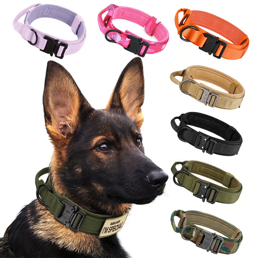 Adjustable Tactical Dog Training Collar And Leash Set With Handle