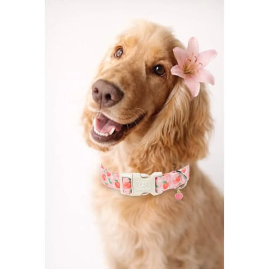 Fruit Pattern Cotton Dog Collar Adjustable Lightweight Durable