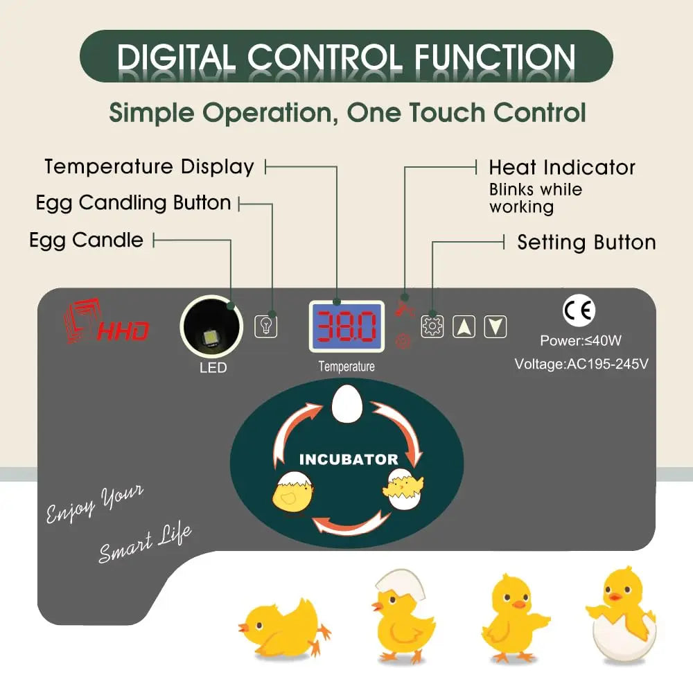 12 Egg Incubator With Turner And Temperature Control And Candler