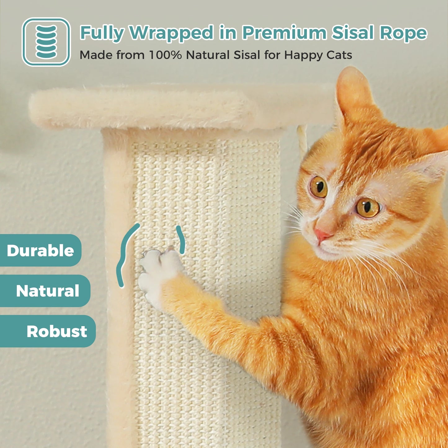 PAWZ Road Indoor Cat Scratching Post With Sisal Ball