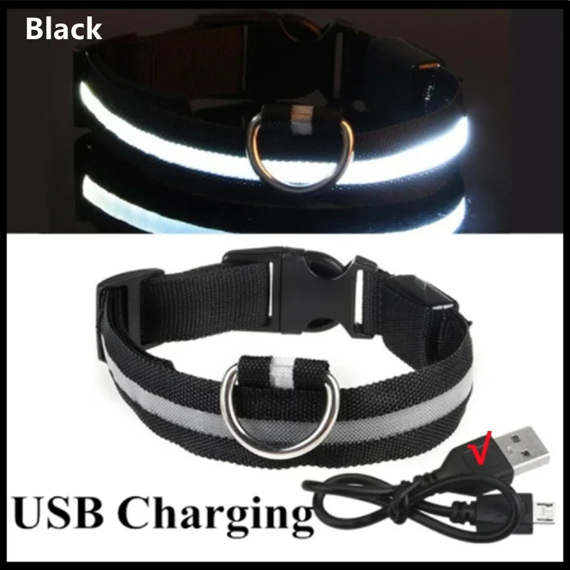 COOYOMOO 3 Mode USB LED Dog Collar With Night Glow