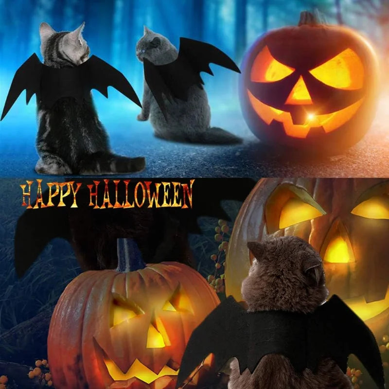 Pet Cat Bat Wings Halloween Costume Accessory For Pets