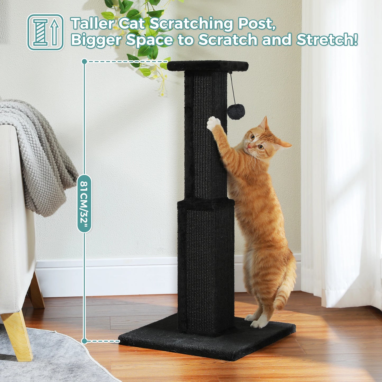 PAWZ Road Indoor Cat Scratching Post With Sisal Ball