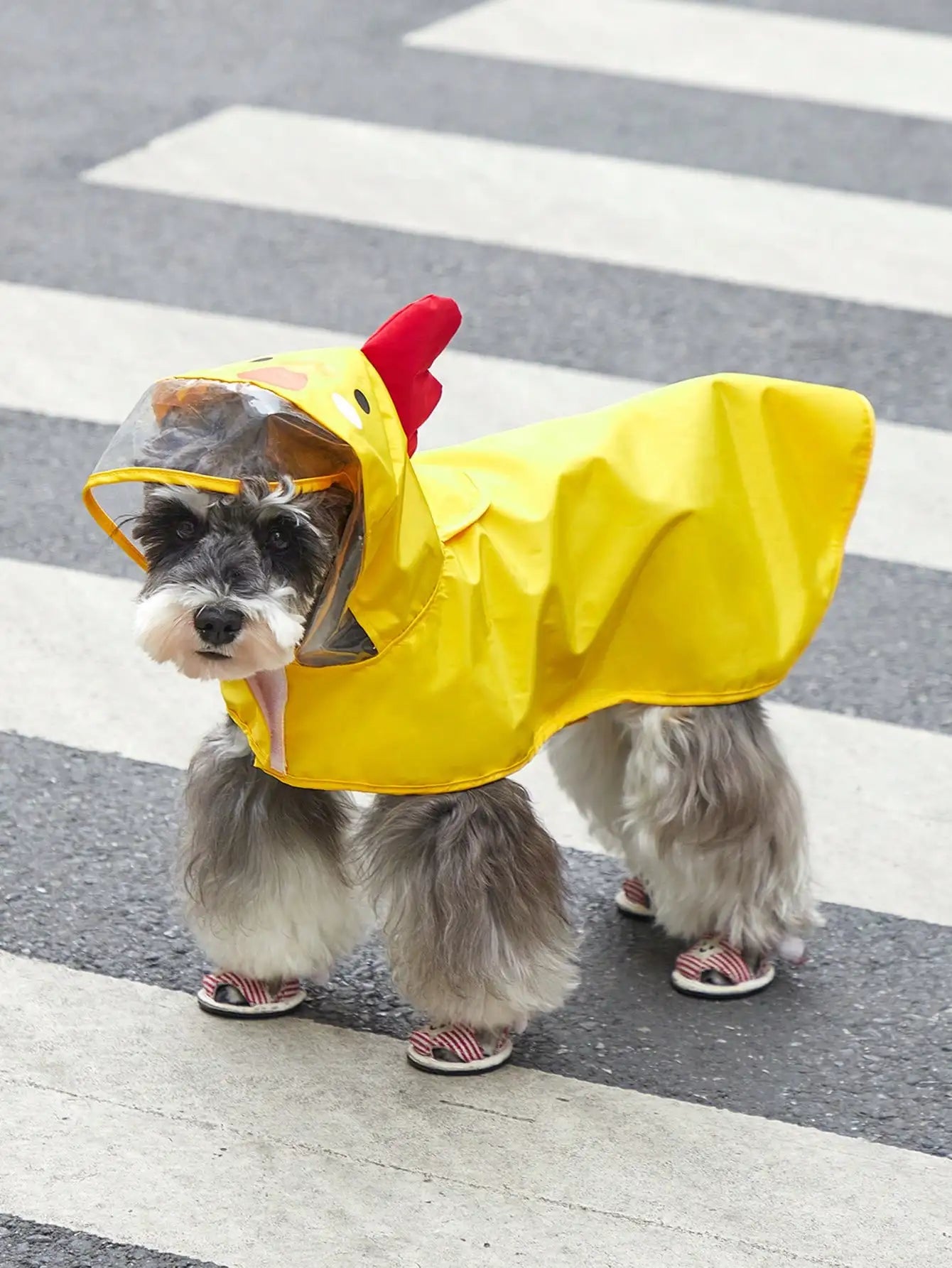 PETSIN Hooded Pet Raincoat Waterproof Cartoon Bear Design
