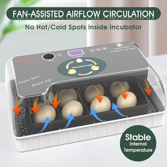 12 Egg Incubator With Turner And Temperature Control And Candler