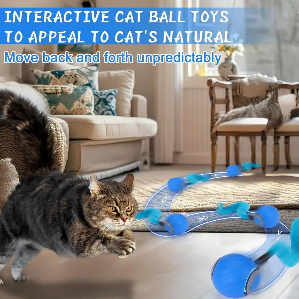 Interactive Cat Toy Ball With Automatic Rolling And Rechargeable Enrichment