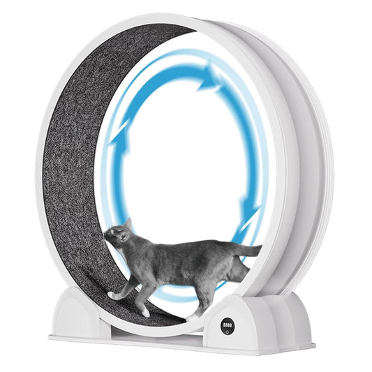 HiMISS Cat Exercise Wheel for Indoor Cats ABS Exerciser Pedometer