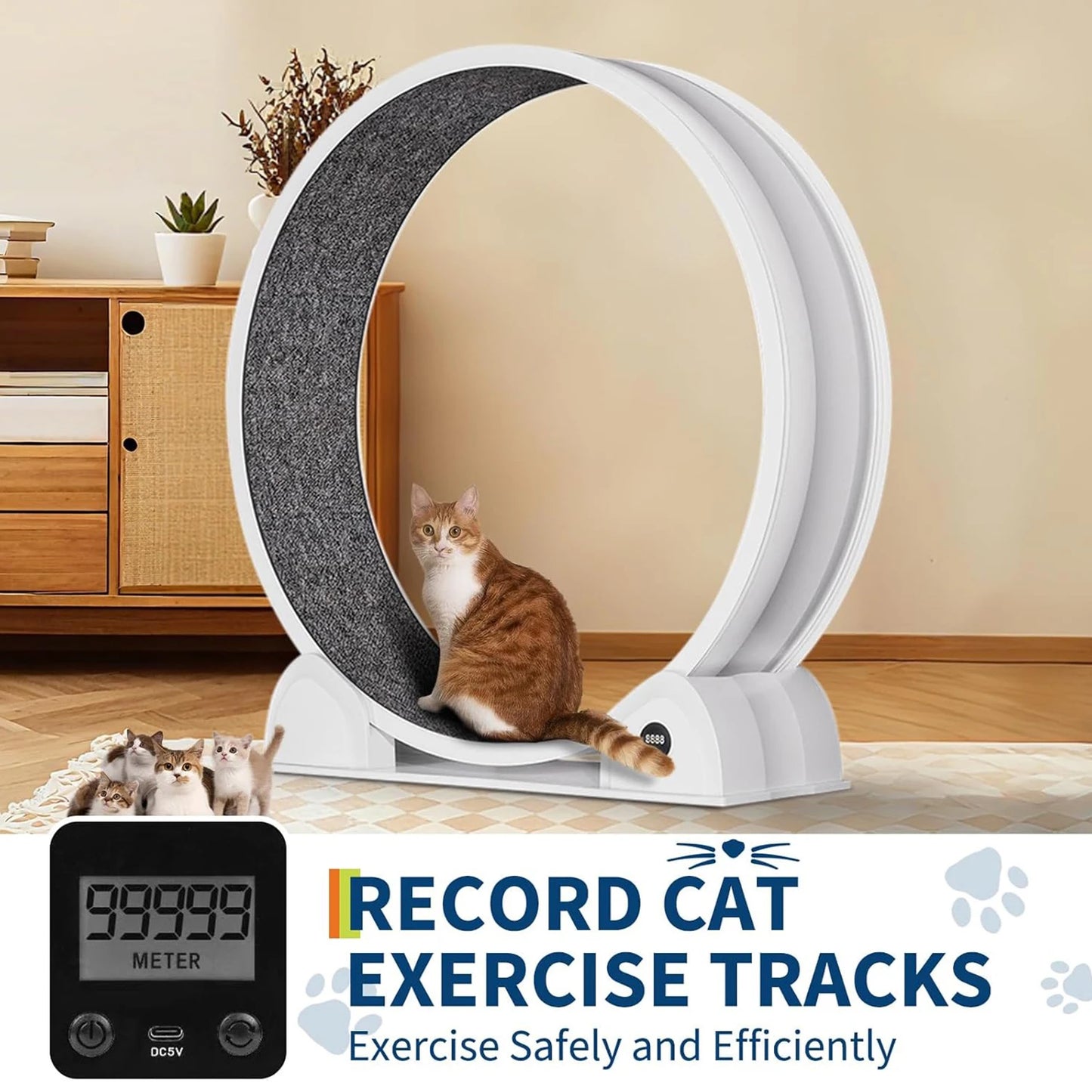 HiMISS Cat Exercise Wheel for Indoor Cats ABS Exerciser Pedometer