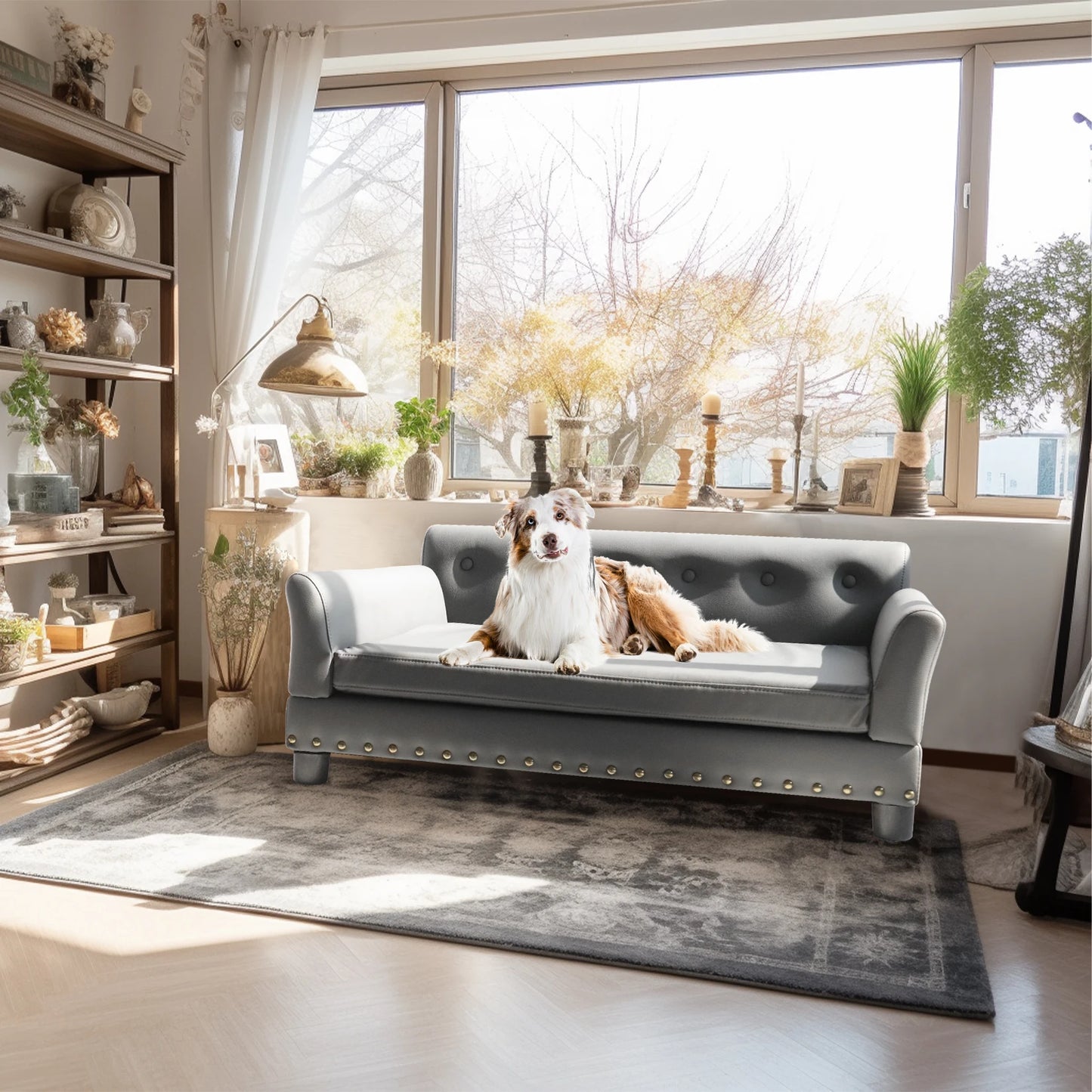 BINGOPAW Elevated Dog Bed With Removable Cushion