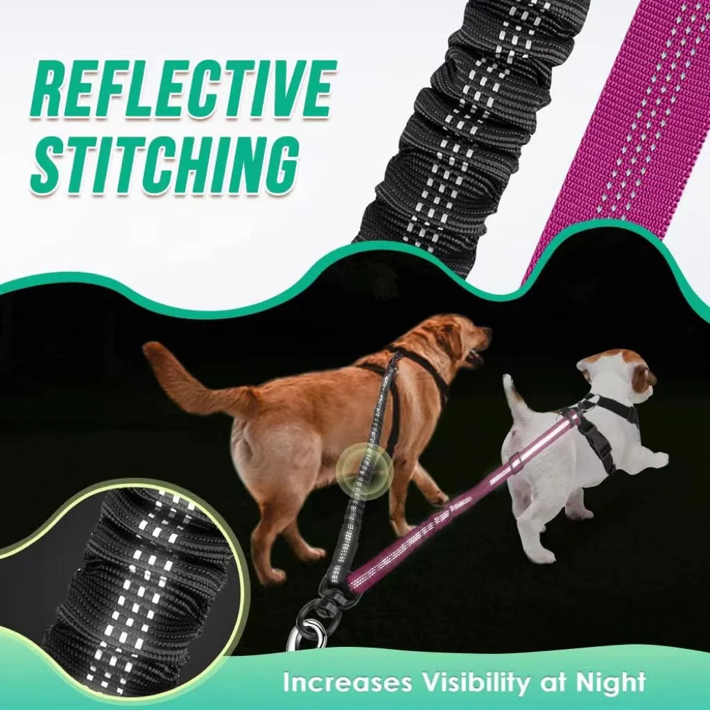 DCLOUD Double Dog Leash Attachment With Shock Absorbing Bungee