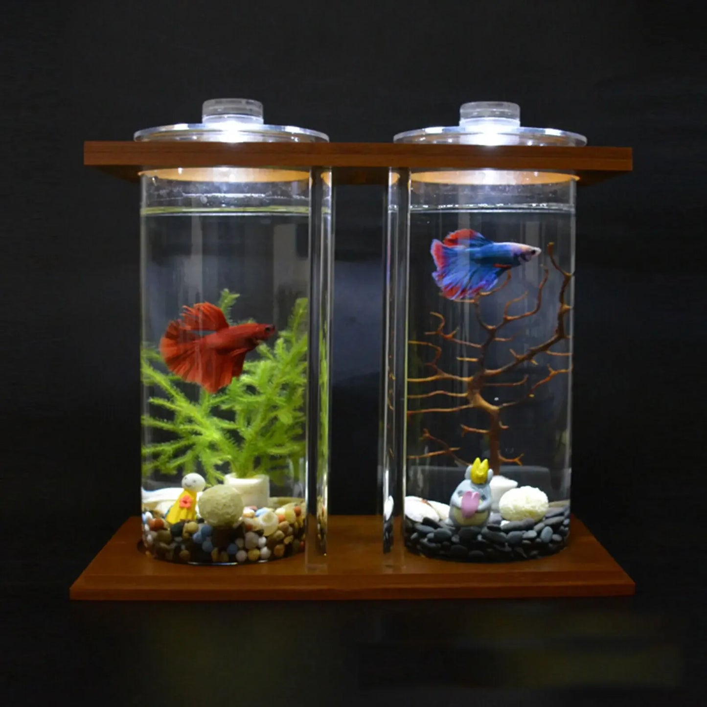 Bamboo Base Glass Betta Tank With LED Light Desktop Decor