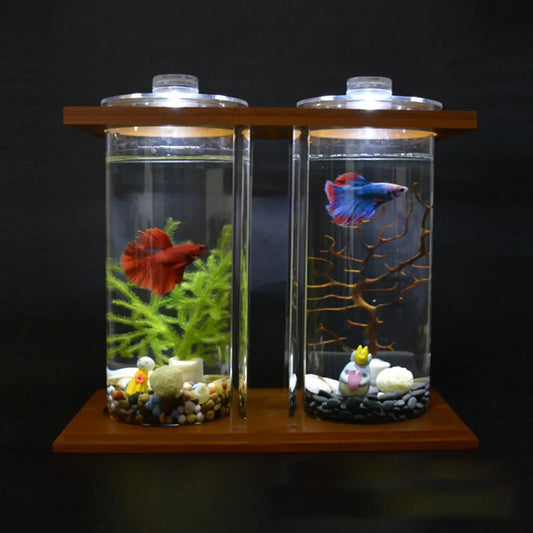 Bamboo Base Glass Betta Tank With LED Light Desktop Decor