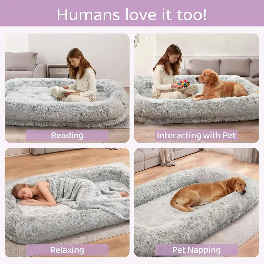 Orthopedic Dog Bed With Removable Cover