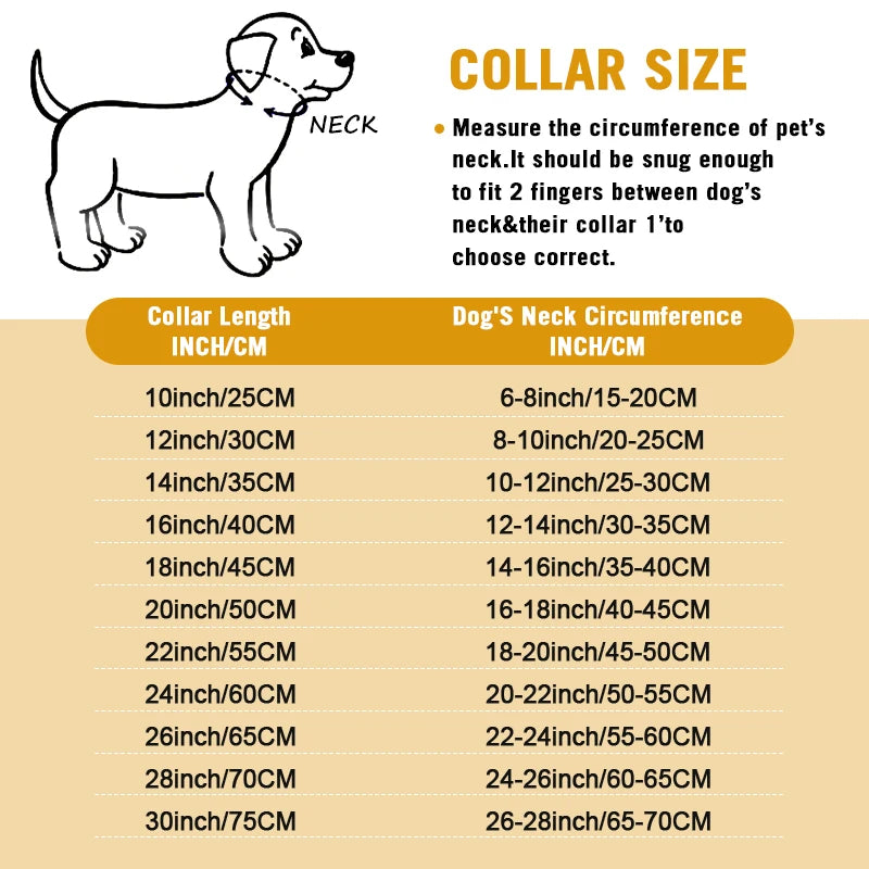 Livepetsme Stainless Steel Chain Collar for Dogs Training and Walking