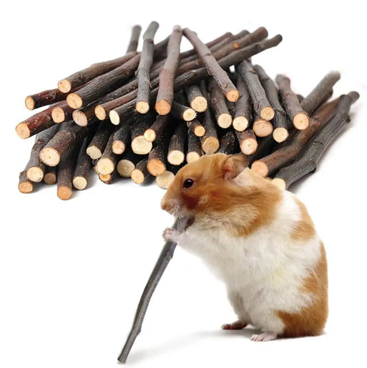 Natural Apple Branch Rabbit Chew Sticks For Small Pets