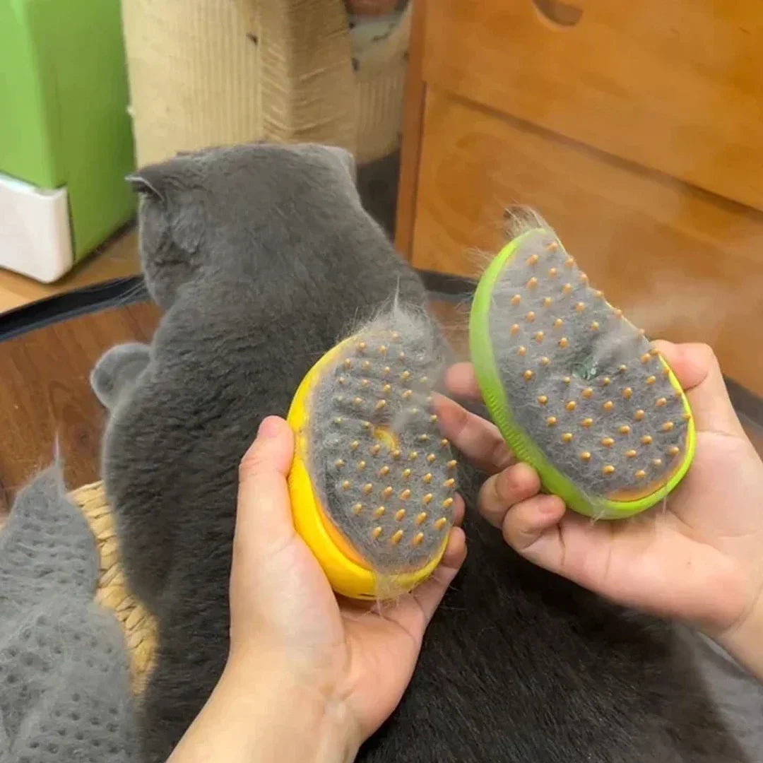 Cat Dog Steamy Brush Electric Sprayer For Pet Grooming Massager