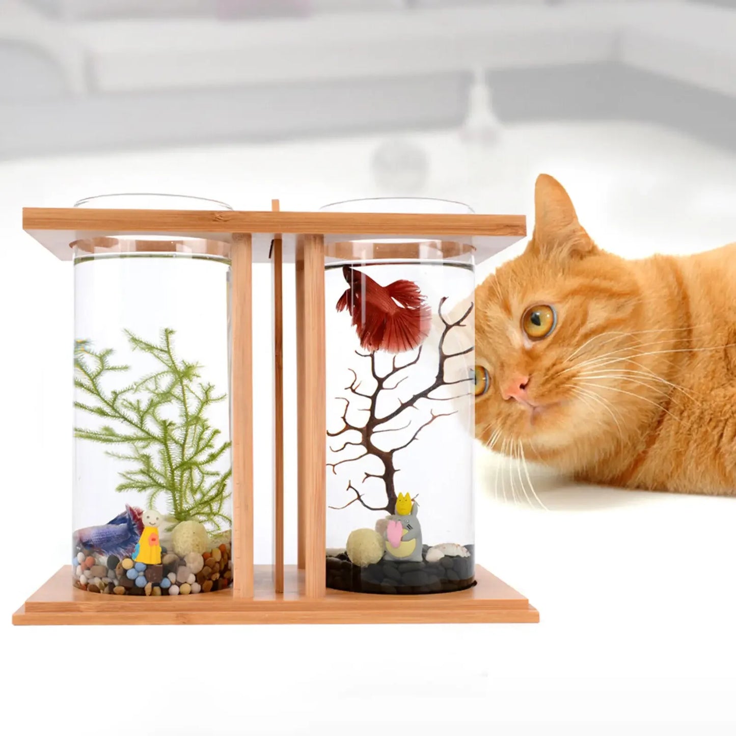 Bamboo Base Glass Betta Tank With LED Light Desktop Decor