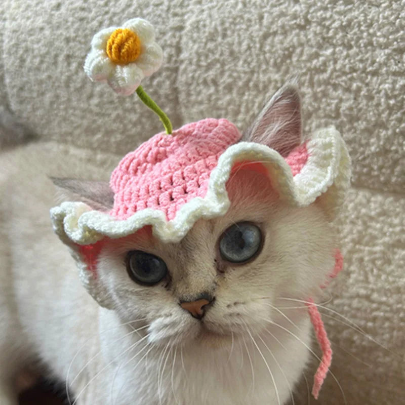 Pawstrip Flower Design Adjustable Cat Hat For Cats And Dogs