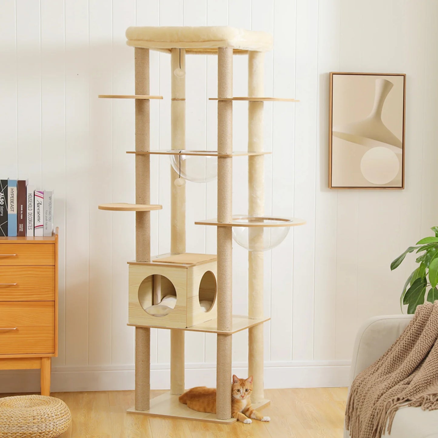 PAWZ Ro Multi Level Indoor Cat Tree With Scratching Posts