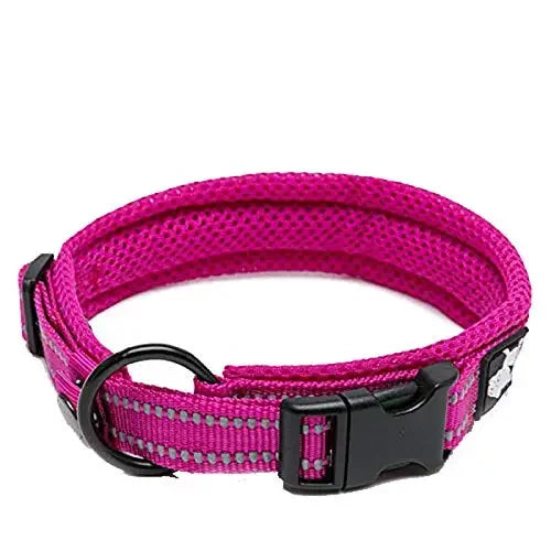 TRUELOVE Padded Reflective Nylon Dog Collar TLC5011 Adjustable Heavy Duty