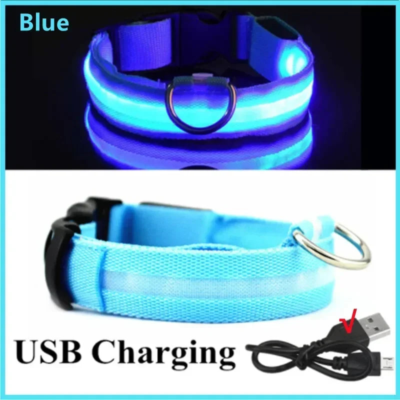 COOYOMOO 3 Mode USB LED Dog Collar With Night Glow