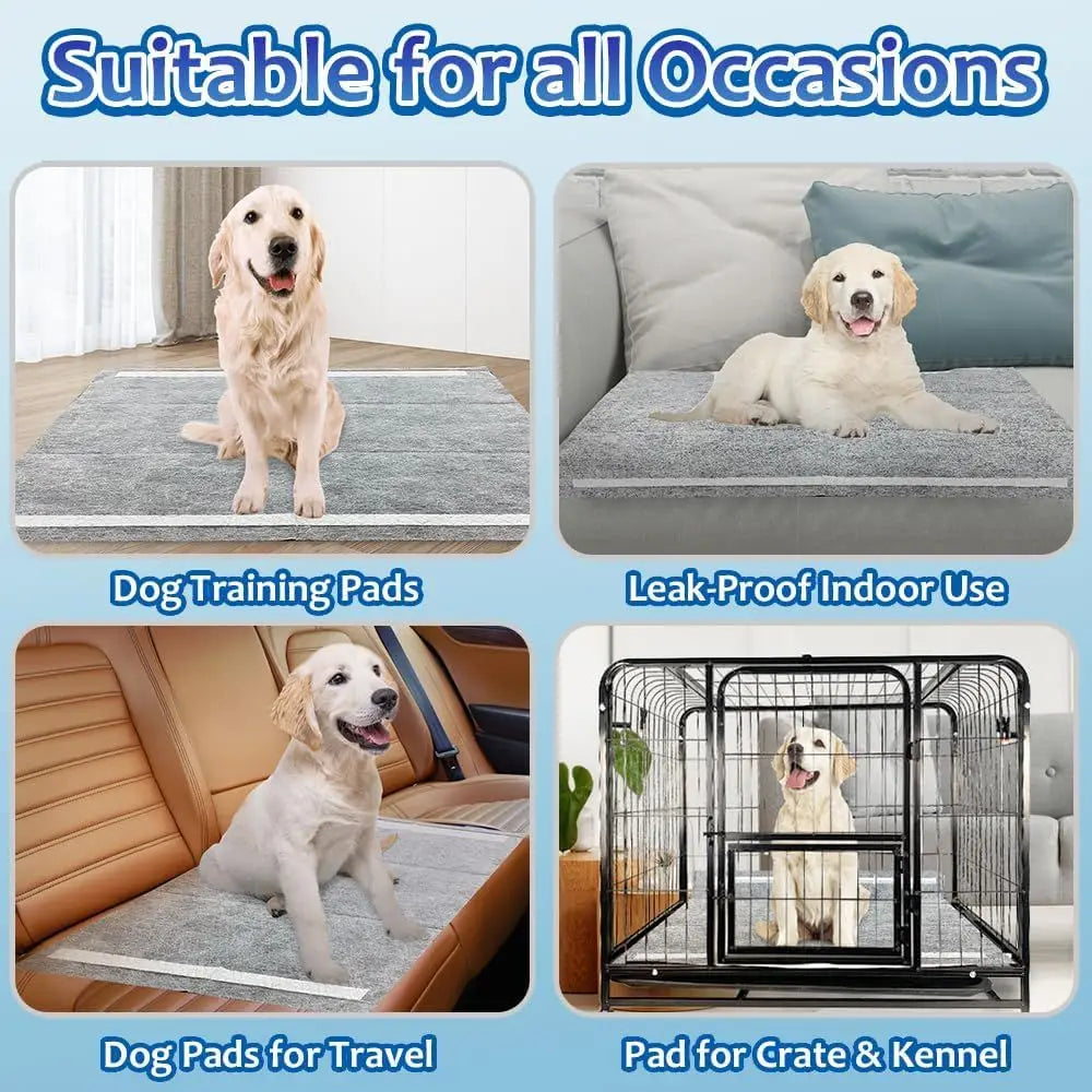 Disposable Dog Pee Pads Potty Training Odor Control