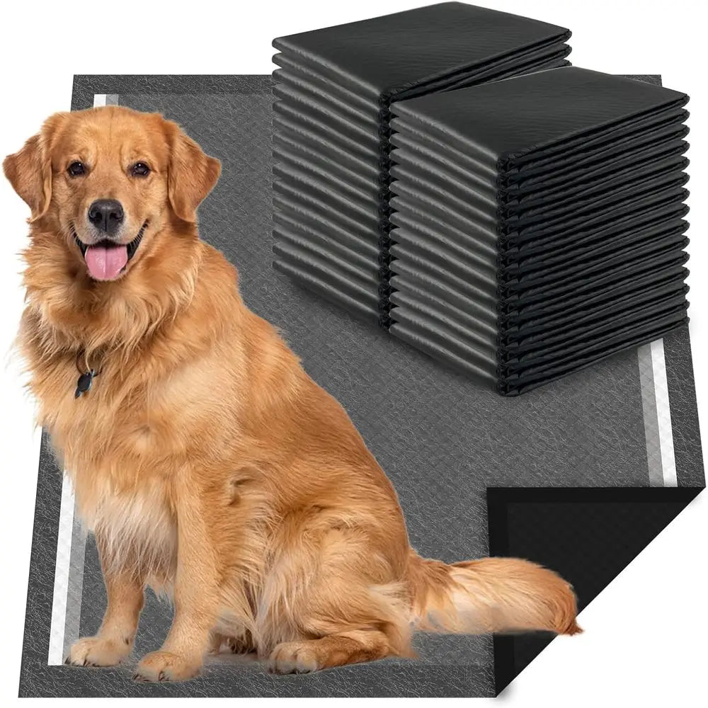 Disposable Dog Pee Pads Potty Training Odor Control