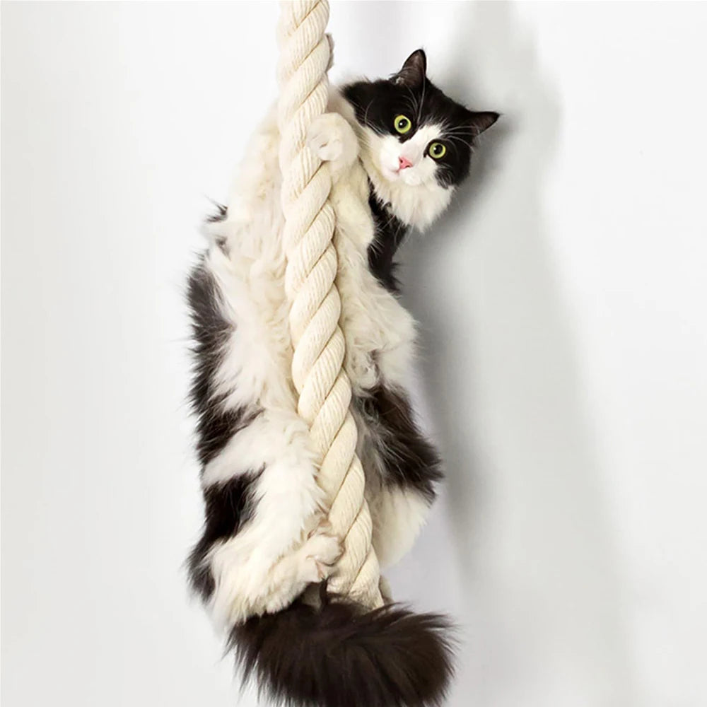 PETRAVEL Cat Climbing Shelf and Rope Tree Wall Mounted Post