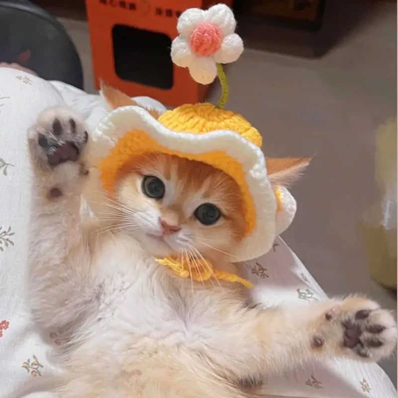 Pawstrip Flower Design Adjustable Cat Hat For Cats And Dogs